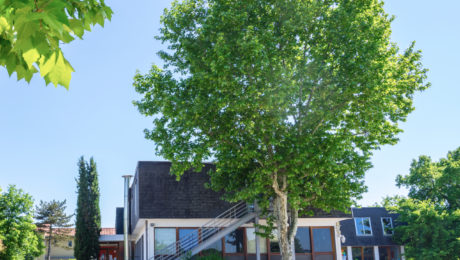 Vue extérieure de l’école Westpoint à Lyon 5